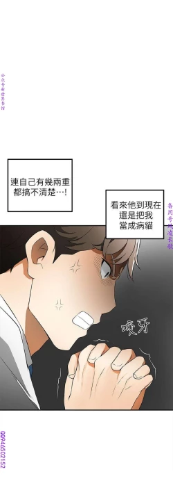Page 279 of 我要搶走她1-7【中文】