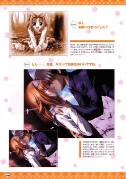 Page 53 of D.C.Official Visual Fanbook