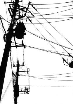 Page 101 of Futanarix