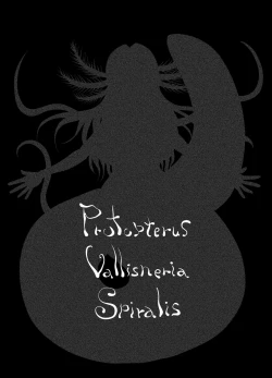 Page 6 of Protopterus Vallisneria Spiralis