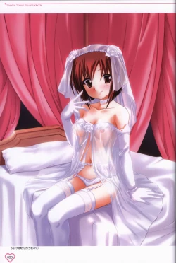 Page 37 of Shakkin Shimai＆Shakkin Shimai2 visual fanbook