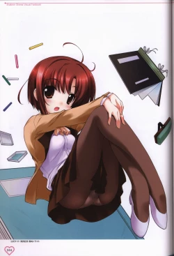 Page 45 of Shakkin Shimai＆Shakkin Shimai2 visual fanbook