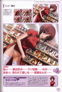 Page 66 of Shakkin Shimai＆Shakkin Shimai2 visual fanbook