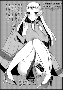 Page 35 of Futanari Zelda Soushuuhen