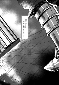 Page 4 of Torikago Yuugi