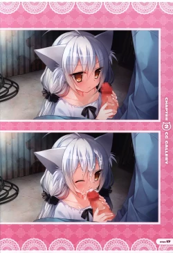 Page 18 of CORONA BLOSSOMArtbook Vol.1