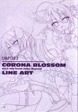 Page 27 of CORONA BLOSSOMArtbook Vol.2