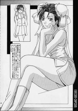 Page 4 of EVECOM CAPCOM