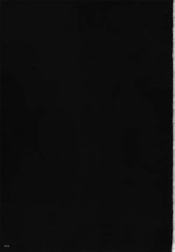 Page 2 of KARLSLAND ABSORB