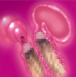 Page 152 of Inma Kakusei