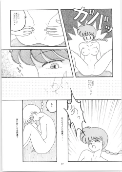 Page 36 of HOHETO 5
