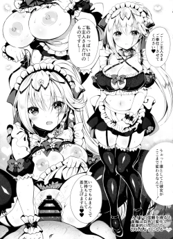 Page 10 of Himekishi o Maid ni Shimasu! Taikenban!
