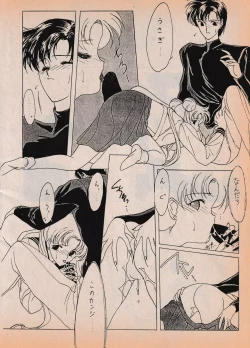 Page 39 of Sailor X vol. 7 - The Kama Sutra Of Pain