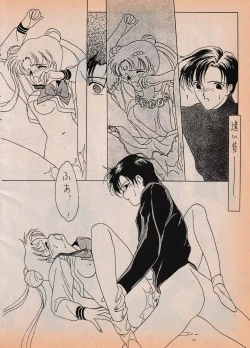 Page 47 of Sailor X vol. 7 - The Kama Sutra Of Pain