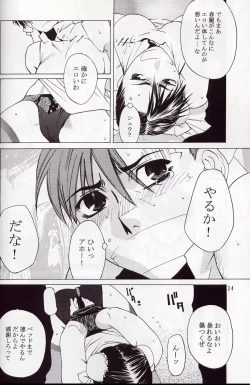 Page 33 of Tenimuhou 5