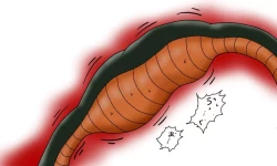 Page 41 of セルの丸呑み吸収