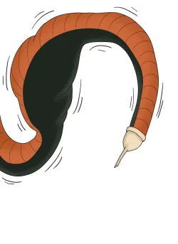 Page 55 of セルの丸呑み吸収