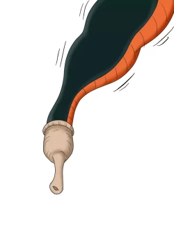 Page 79 of セルの丸呑み吸収