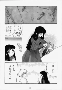 Page 13 of Tomoedashou Igai Zenbu Chinbotsu