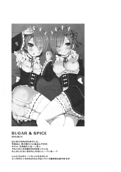 Page 19 of Re:Zero Soushuuhen