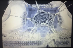 Page 62 of RANDOM NUDE 6.55