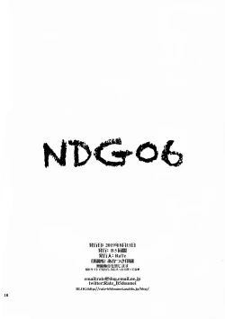Page 17 of NDG06