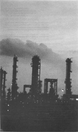 Page 249 of Roma Citta, Aperta