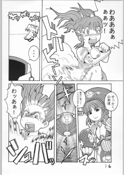 Page 15 of Cucurbita