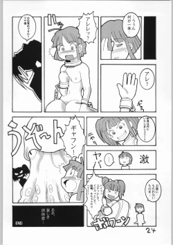 Page 23 of Cucurbita