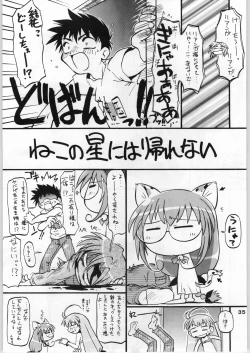 Page 35 of Manteique