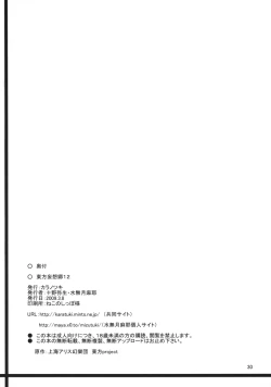 Page 29 of Touhou Mousou Kyou 12