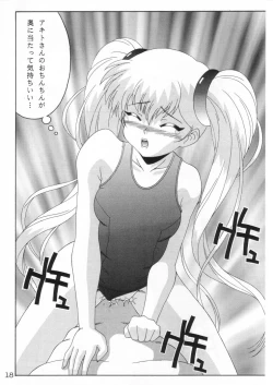 Page 17 of TOKUTEI 10