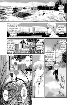 Page 5 of Jimiko Catalogue.C