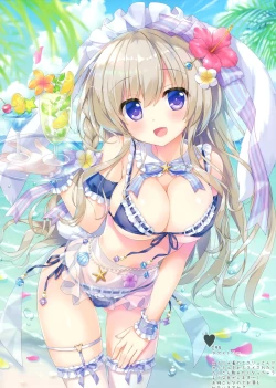 Page 5 of Kanbanmusume chronicle