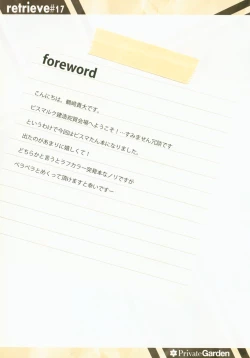 Page 2 of retrieve #17