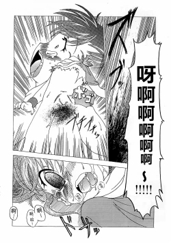 Page 17 of La renarde lunaire