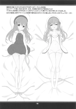 Page 17 of MINIMALISM × MICROISM