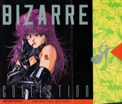 Page 2 of Bizarre Collection 1