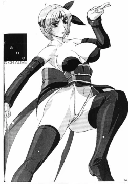 Page 25 of (C58) [F4 Company (Fuku Pen, M Boy, Masahiko)] [B] (Dead or Alive)