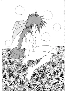 Page 15 of SuVariable Geo Only