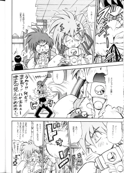 Page 21 of SuVariable Geo Only