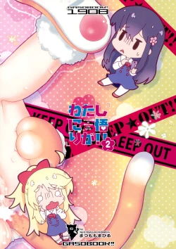 Page 16 of Watashi ni Shou-go Loli ga!! 2