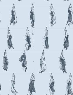 Page 40 of End my suffering