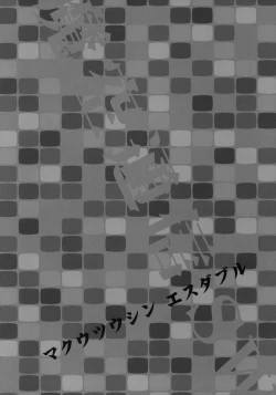 Page 21 of Makuu Tsuushin SW