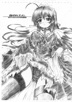 Download S.T.G. Yoru no Toppatsu ga hou