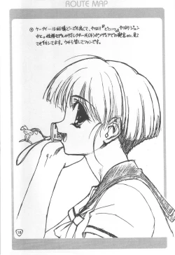 Page 17 of - Route Map 3