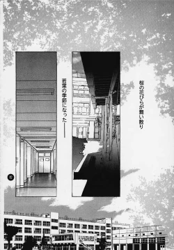 Page 81 of Magical☆To Heart