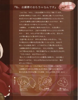 Page 11 of Hanihon vol.1