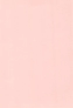 Page 4 of B-gata Texture