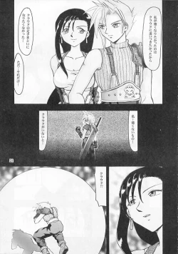 Page 29 of CAMELEON TECHNOLOGY IV